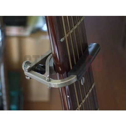 Каподастр SHUBB C1