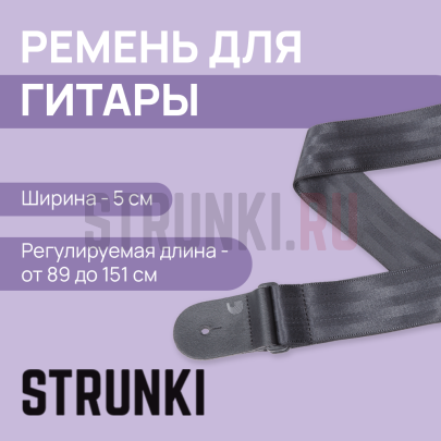 Ремень для гитары PLANET WAVES by D'ADDARIO 50SB00 Seat Belt, тканевый