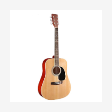 Акустическая гитара HOMAGE LF-4110-N
