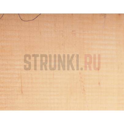 Бланк корпуса электрогитары, Акустик Вуд AW-192376-А