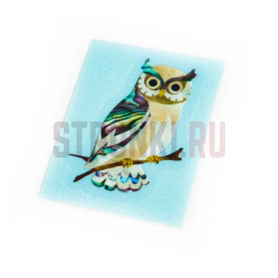 Наклейка для гитары "Сова" Струнки.ру
