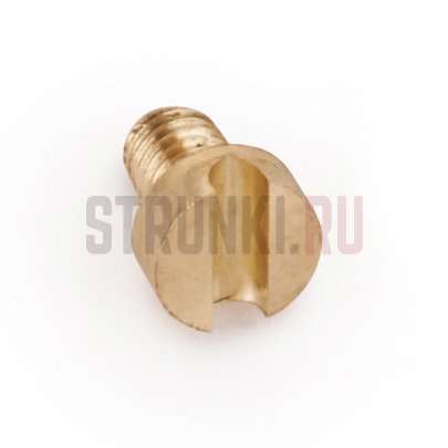 Warwick, сменный винт для верхнего порожка, SP W 30211, золото