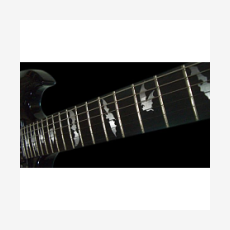 Наклейка на гриф гитары 