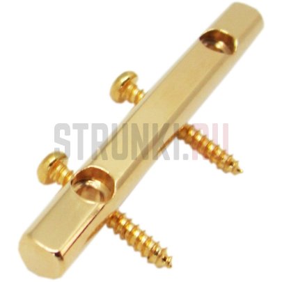 Ретейнер гитарный Original Floyd Rose FRSRGP, золото