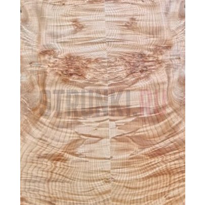 Maple Burl, шпон, MusicianWood, 0.5x360x480 мм