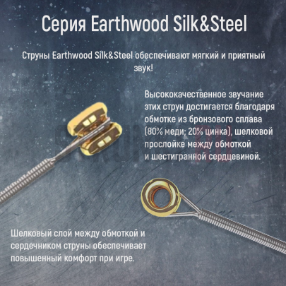 Струны для акустической гитары Ernie Ball 2051 Silk&Steels Soft 9-46