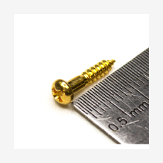 HOSCO WS-19G, cаморез для колков (2.4 x 12 mm), золотой