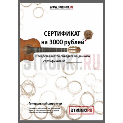 Подарочный сертификат Струнки.ру на 3000 рублей