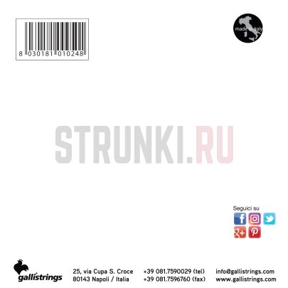 Струны для балалайки прима Galli Strings FG018 12--41