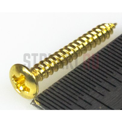 Paxphil WO2116-GD, cаморез для рамок хамбакера (2.1x16mm)