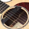 TAKAMINE TRIAX звукосниматель для акустической гитары картинка 1