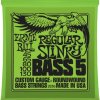 ERNIE BALL 2836 5-STRING REGULAR SLINKY - (45-65-80-100-130) картинка 3