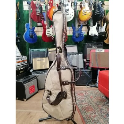 Чехол для электрогитары Aria Pro II, утепленный