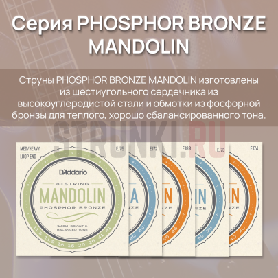 Струны для мандолины D'Addario EJ80 12-46