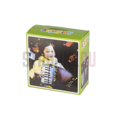 Аккордеон Aurus UC104-R