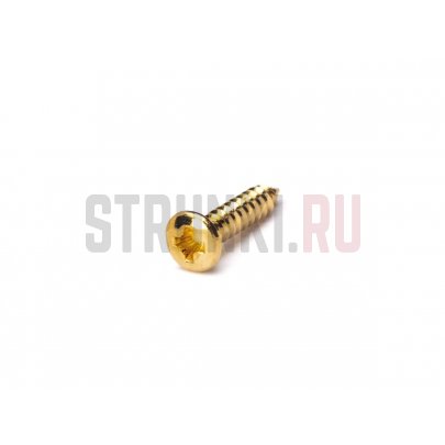 Саморез Paxphil WO2512-GD 2,5х12мм, золото, 1 шт