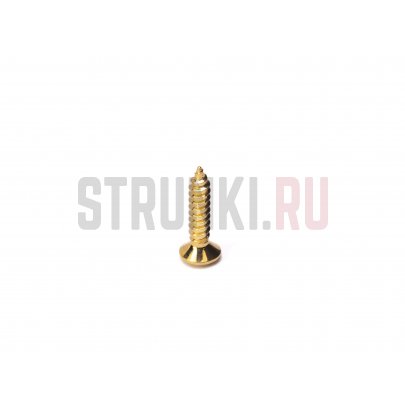 Саморез Paxphil WO2512-GD 2,5х12мм, золото, 1 шт