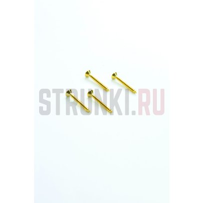 Комплект саморезов для рамки звукоснимателя EMG 5330.00 Screw Kit Med .625", (18 мм х 2.2 мм), золото