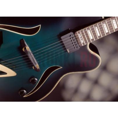 Звукосниматель для джазовой гитары, Schaller 16043000 Jazz Pickup, черный