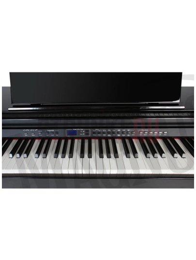 Цифровое пианино Orla CDP-101-POLISHED-BLACK, 88 клавиш, черное