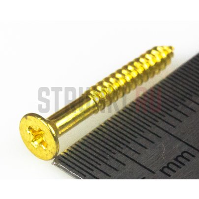 PARTSLAND WF2520GD, cаморез для рамок хамбакера или кнопки ремня (2.5x20mm)