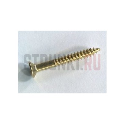 PARTSLAND WF2520GD, cаморез для рамок хамбакера или кнопки ремня (2.5x20mm)