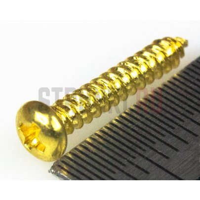 PARTSLAND WR2515GD, cаморез для рамок хамбакера (2.5x15mm), позолота