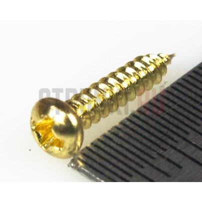 Paxphil WR2110-GD, cаморез для колков или крышки анкера (2.1x10mm), позолота