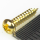 Paxphil WR2110-GD, cаморез для колков или крышки анкера (2.1x10mm), позолота
