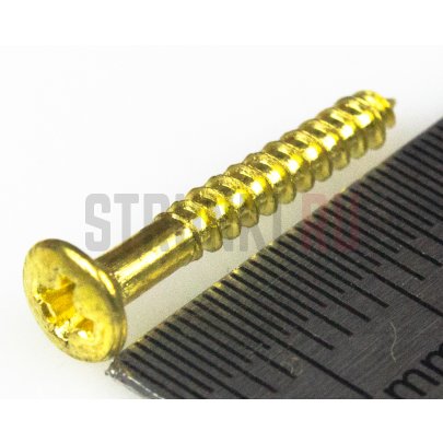 Musiclily M679, cаморез для рамок хамбакера (2.5x18mm), золото