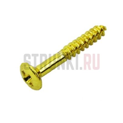 Musiclily M679, cаморез для рамок хамбакера (2.5x18mm), золото