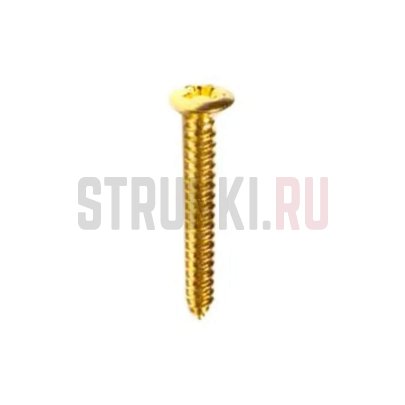 Paxphil WO3025-GD, cаморез крепления звукоснимателей (3x25mm)