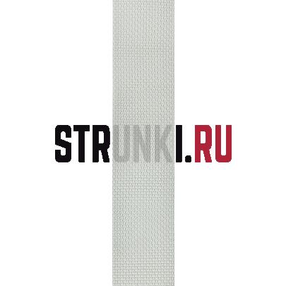 Ремень для гитары, тканевый Planet Waves PWS105 Polypropylene, серебристый