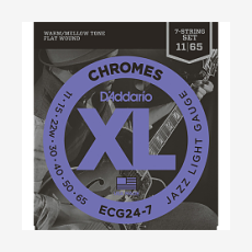 Струны для электрогитары D`Addario ECG24-7 11-65
