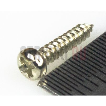Paxphil WR2148NI, cаморез для колков или крышки анкера (2.2x12mm), никель