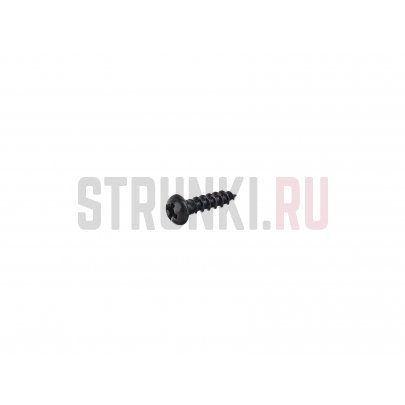 Саморез Hosco WS-18B (2,4х10 мм), 50 шт, черный