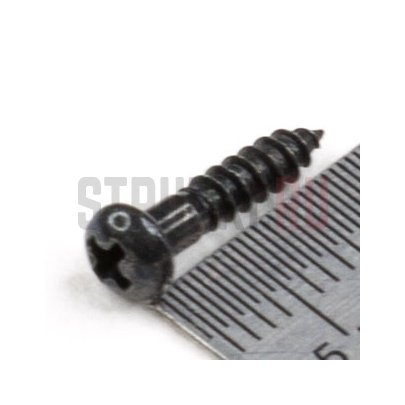 Саморез для басовых колков Hosco WS-03B (2,7х13 мм), 50 шт, черный