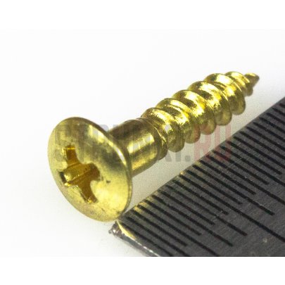 Саморез с маленькой шляпкой для панели Les Paul Hosco TS-11G (2,7х13 мм), 50 шт, золото