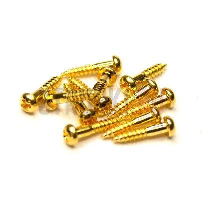 Саморез для колков Hosco WS-19G (2,4х12 мм), 50 шт, золото