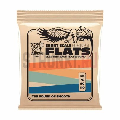 Струны для бас-гитары ERNIE BALL 2800 Flatwound Group 1 Short Scale 50-110