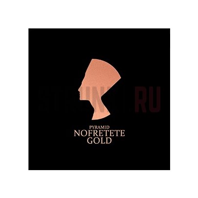 Струны для электрогитары Pyramid Nofretete NOF11 11-48