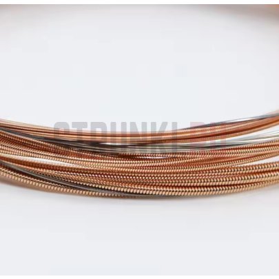 Струны для 12-струнной акустической гитары, фосфорная бронза, 12-52, Road Dog KC1230