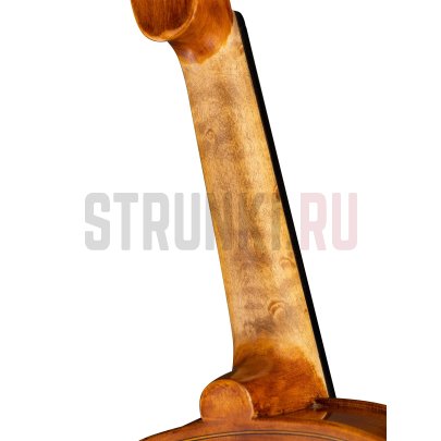 Скрипка модель "Elite" Bird Eye Hora V200BE-4/4 Elite