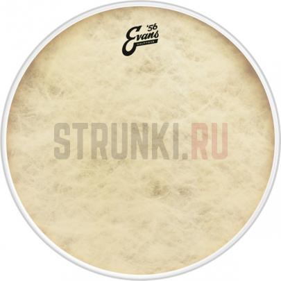 Пластик для бас-барабана 22", Evans BD22CT Calftone