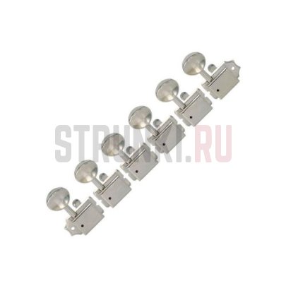 Колки 6 в линию ARIA AT-300G N, никель