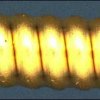 ELIXIR 11002 80/20 BRONZE NANOWEB EXTRA LIGHT - (10-14-23-30-39-47) картинка 7