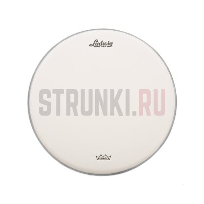 Пластик для барабана 13", с покрытием, Ludwig LW113RAC Ambassador