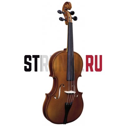 Альт студенческий, Strunal 3/60A-39 Talent Catania