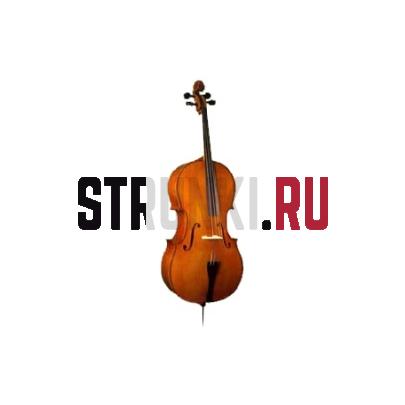 Виолончель студенческая Strunal 40/1C-1/8
