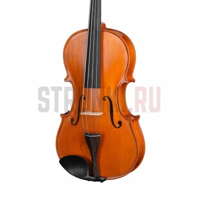 Альт студенческий, Gliga S-V165 Student Genial 1 Oil